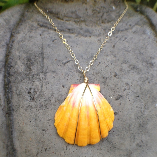 Sunrise Shell Necklace